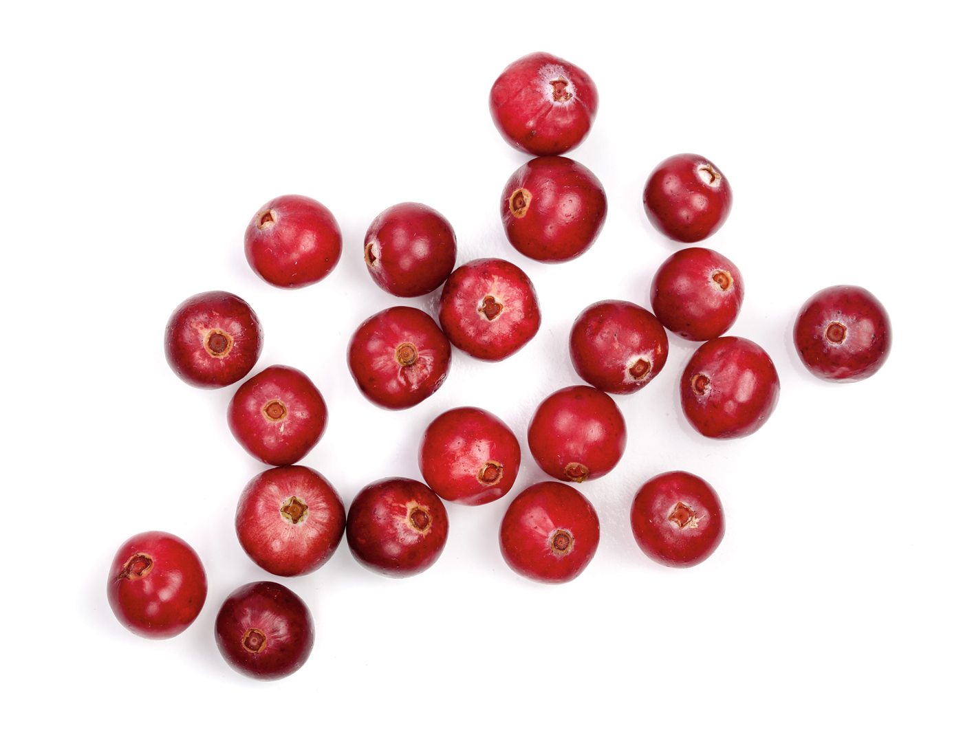 Overhead shot of cranberries on a white background.